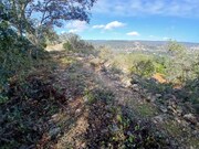 Terreno Rstico - So Brs de Alportel, So Brs de Alportel, Faro (Algarve) - Miniatura: 8/9