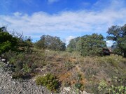 Terreno Rstico - So Brs de Alportel, So Brs de Alportel, Faro (Algarve) - Miniatura: 9/9