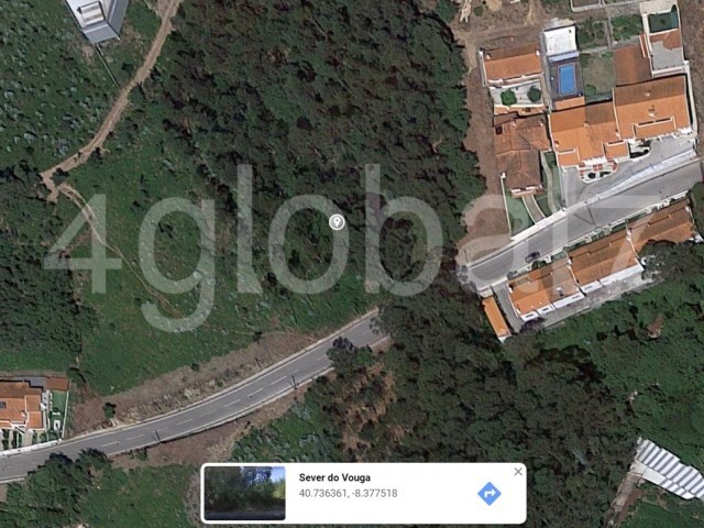 Terreno R�stico - Sever do Vouga, Sever do Vouga, Aveiro - Imagem grande