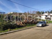 Terreno R�stico - Sever do Vouga, Sever do Vouga, Aveiro - Miniatura: 1/3