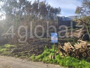 Terreno R�stico - Sever do Vouga, Sever do Vouga, Aveiro - Miniatura: 2/3