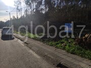 Terreno R�stico - Sever do Vouga, Sever do Vouga, Aveiro - Miniatura: 3/3