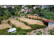 Terreno Rstico - Pessegueiro do Vouga, Sever do Vouga, Aveiro - Miniatura: 6/7