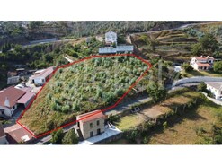 Terreno Rstico - Sever do Vouga, Sever do Vouga, Aveiro
