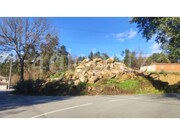Terreno Rstico - Rocas do Vouga, Sever do Vouga, Aveiro - Miniatura: 4/4