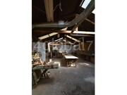 Outros - Cedrim, Sever do Vouga, Aveiro - Miniatura: 4/9