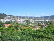 Moradia T2 - Sever do Vouga, Sever do Vouga, Aveiro - Miniatura: 1/9