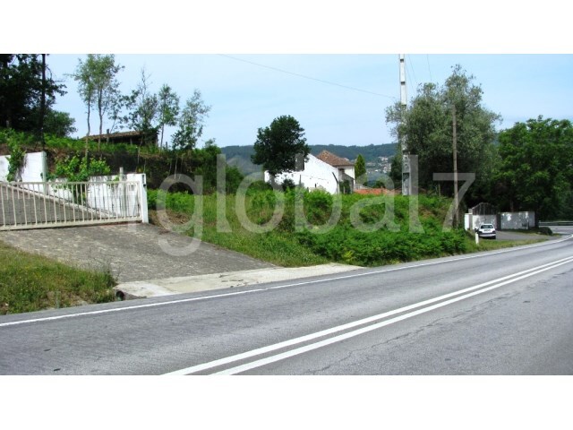 Terreno Rstico - Cedrim, Sever do Vouga, Aveiro - Imagem grande