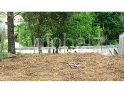 Terreno Rstico - Cedrim, Sever do Vouga, Aveiro - Miniatura: 3/7