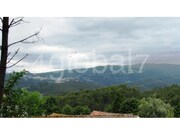 Terreno Rstico - Cedrim, Sever do Vouga, Aveiro - Miniatura: 4/7