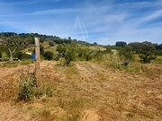 Terreno R�stico - Roli�a, Bombarral, Leiria - Miniatura: 4/9