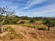 Terreno R�stico - Roli�a, Bombarral, Leiria - Miniatura: 5/9