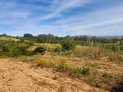 Terreno R�stico - Roli�a, Bombarral, Leiria - Miniatura: 6/9