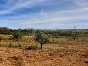 Terreno R�stico - Roli�a, Bombarral, Leiria - Miniatura: 7/9