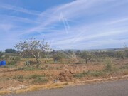 Terreno R�stico - Roli�a, Bombarral, Leiria - Miniatura: 8/9