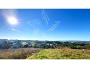 Terreno R�stico - Salir de Matos, Caldas da Rainha, Leiria - Miniatura: 4/9