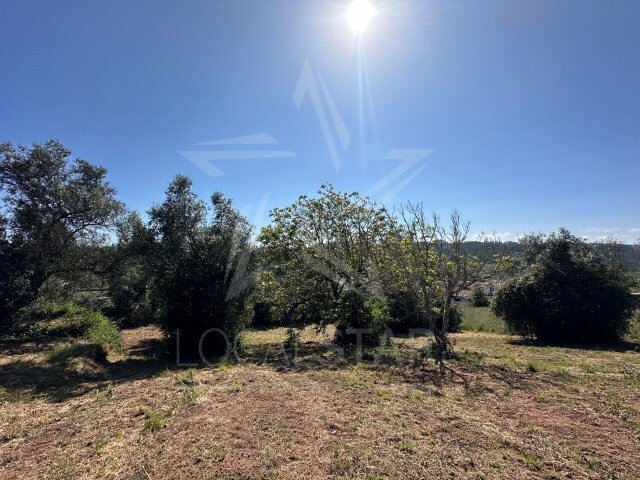 Terreno R�stico - Santa Catarina, Caldas da Rainha, Leiria - Imagem grande