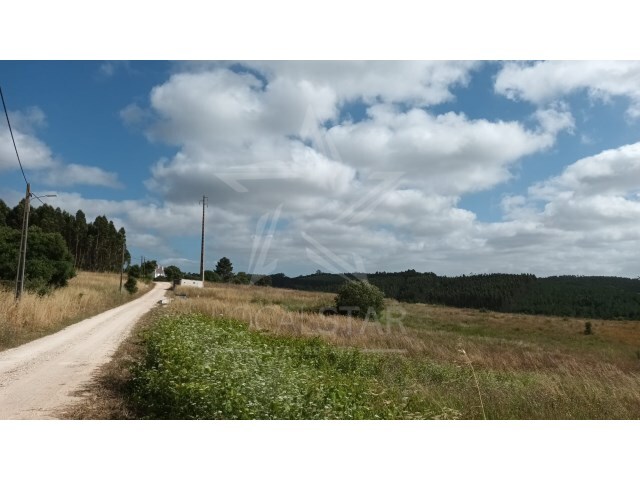Terreno Rústico - Bombarral, Bombarral, Leiria - Imagem grande