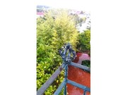 Moradia > T6 - Nossa Senhora do P�pulo, Caldas da Rainha, Leiria - Miniatura: 8/9