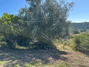 Terreno R�stico - Santa Catarina, Caldas da Rainha, Leiria - Miniatura: 2/5