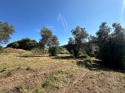 Terreno R�stico - Santa Catarina, Caldas da Rainha, Leiria - Miniatura: 3/5