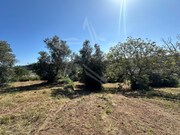 Terreno R�stico - Santa Catarina, Caldas da Rainha, Leiria - Miniatura: 4/5