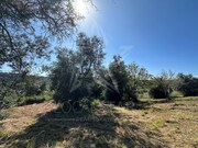 Terreno R�stico - Santa Catarina, Caldas da Rainha, Leiria - Miniatura: 5/5