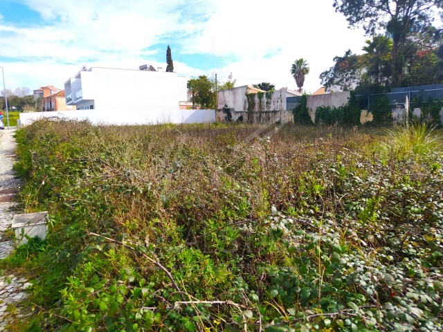 Terreno Urbano - Nossa Senhora do Pópulo, Caldas da Rainha, Leiria - Imagem grande