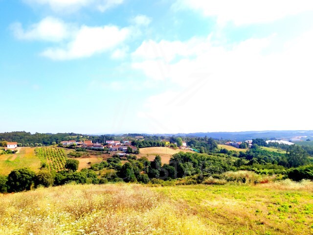 Terreno R�stico - Salir de Matos, Caldas da Rainha, Leiria - Imagem grande