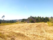 Ruina - Alvorninha, Caldas da Rainha, Leiria - Miniatura: 2/9
