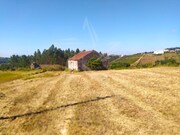 Ruina - Alvorninha, Caldas da Rainha, Leiria - Miniatura: 3/9