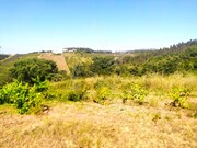 Ruina - Alvorninha, Caldas da Rainha, Leiria - Miniatura: 4/9