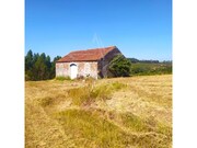 Ruina - Alvorninha, Caldas da Rainha, Leiria - Miniatura: 6/9