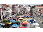 Ruina - Alvorninha, Caldas da Rainha, Leiria - Miniatura: 9/9
