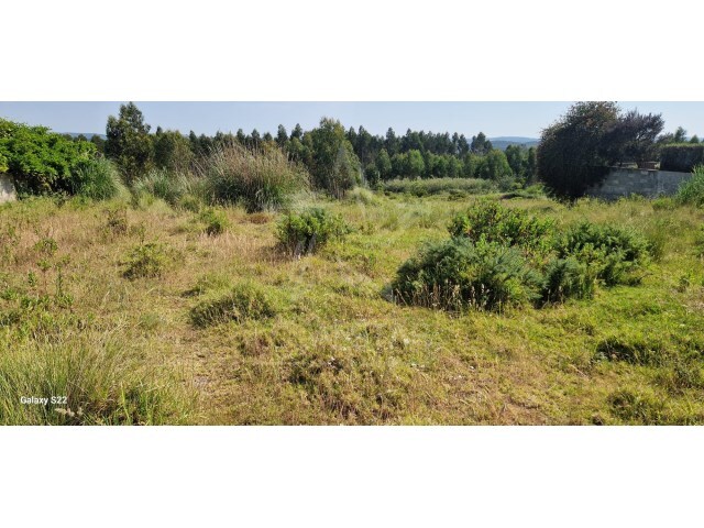 Terreno R�stico - Santo Onofre, Caldas da Rainha, Leiria - Imagem grande