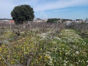 Terreno Rstico - Moita dos Ferreiros, Lourinh, Lisboa - Miniatura: 9/9