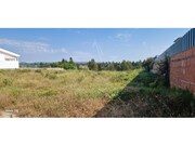 Terreno R�stico - Santo Onofre, Caldas da Rainha, Leiria - Miniatura: 5/9
