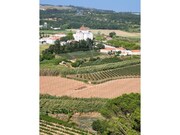 Terreno R�stico - Santo Onofre, Caldas da Rainha, Leiria - Miniatura: 7/9