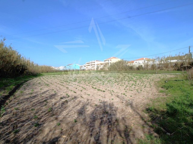 Terreno Rústico - Ferrel, Peniche, Leiria - Imagem grande