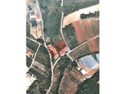 Terreno R�stico - Salir de Matos, Caldas da Rainha, Leiria - Miniatura: 1/9
