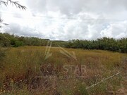 Terreno Rstico - Ferrel, Peniche, Leiria - Miniatura: 2/9