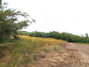 Terreno Rstico - Ferrel, Peniche, Leiria - Miniatura: 4/9