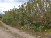 Terreno Rstico - Ferrel, Peniche, Leiria - Miniatura: 5/9
