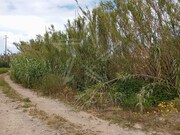 Terreno Rstico - Ferrel, Peniche, Leiria - Miniatura: 6/9