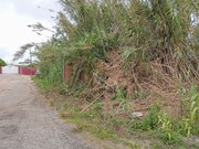 Terreno Rstico - Ferrel, Peniche, Leiria - Miniatura: 7/9