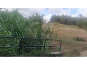 Terreno R�stico - Salir de Matos, Caldas da Rainha, Leiria - Miniatura: 3/9