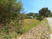 Terreno R�stico - Salir de Matos, Caldas da Rainha, Leiria - Miniatura: 4/9