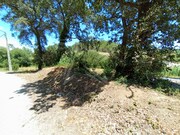 Terreno R�stico - Salir de Matos, Caldas da Rainha, Leiria - Miniatura: 5/9