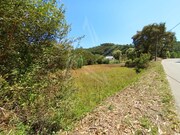 Terreno R�stico - Salir de Matos, Caldas da Rainha, Leiria - Miniatura: 8/9