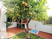 Moradia T3 - Altura, Castro Marim, Faro (Algarve) - Miniatura: 8/9